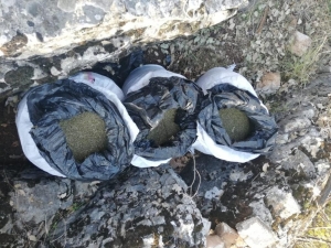 Siirt İl Jandarma Komutanlığı’ndan Uyuşturucu Operasyonu: 47 Gözaltı