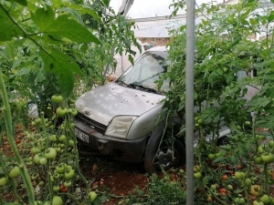 Hafif Ticari Araç Domates Serasına Düştü