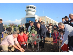 Zeytin Fidanları Koca Seyit Havalimanı’nda Toprakla Buluştu