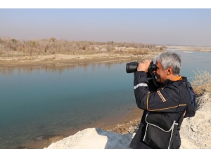 Batman Çayı’nda Kaybolan Şahsın Bulunması İçin Çalışmalar Devam Ediyor