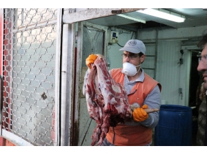 Sakarya’da 20 Ton Kaçak Et Ve Sakatat Ele Geçirildi