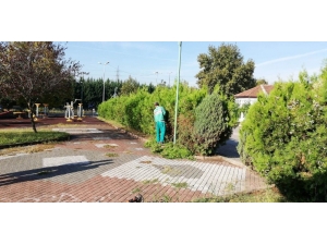 İzmit’te Mevsimlik Budama Çalışmaları Başladı