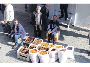 Bakan Pakdemirli’nin Açıklamaları Malatyalı Kayısı Üreticilerini Sevindirdi