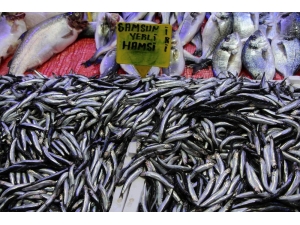 Balık Fiyatları Havaya Endeksli