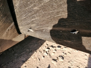 Eski Özel Harekatçı İle Polisler Arasındaki Kovalamaca Mahkemede Bitti