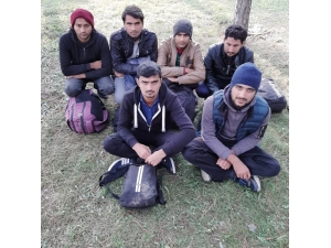 Şener Şen’in ’Banker Bilo’ Filmi Gerçek Oldu