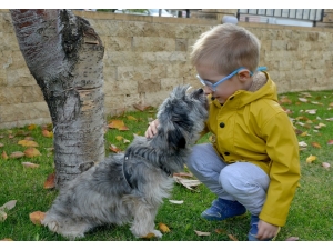 Miniklere Hayvan Sevgisi Aşılandı