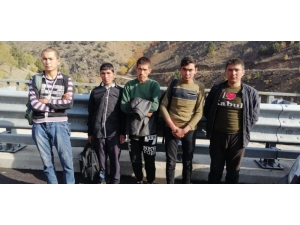 Niğde’de 5 Düzensiz Göçmen Yakalandı