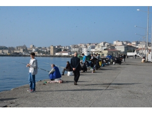 Güzel Havayı Fırsat Bilenler İskelede Balık Tuttu