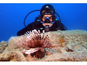 Balon Balığının İhracatı Ülke Ekonomisine Katkı Sağlayacak