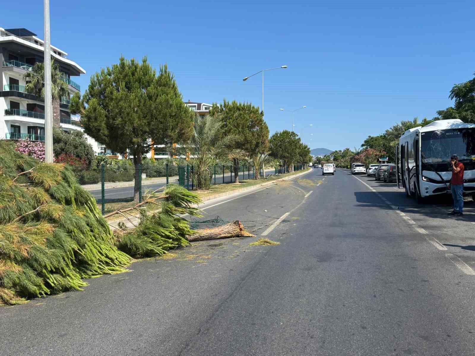alanya-da-alkollu-surucunun-kullandigi-midibus-refuju-asip-karsi-seride-gecti