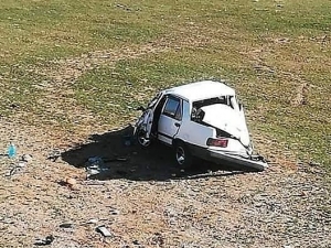 Otomobil Domuza Çarptı: 3 Yaralı