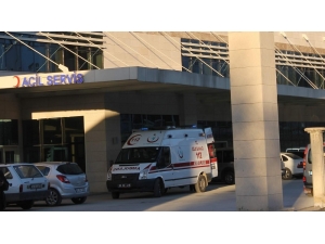 Elma Toplamak İçin Çıktığı Ağaçtan Düşüp Yaralandı