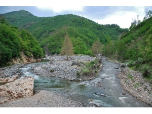 Bolaman Havzası Islah Ediliyor