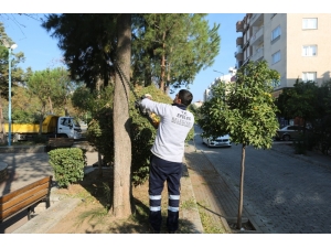 Efeler Belediyesi Yeşil Alanlarda Bakım Çalışmalarına Devam Ediyor