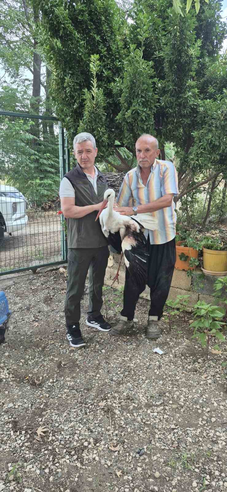 evinin-onune-gelen-yarali-leylege-sahip-cikti