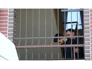 Üniversiteli Genç Kızı Katleden Zanlı Tutuklandı