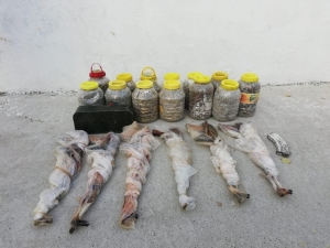 Bitlis’te Silah Ve Mühimmat Ele Geçirildi