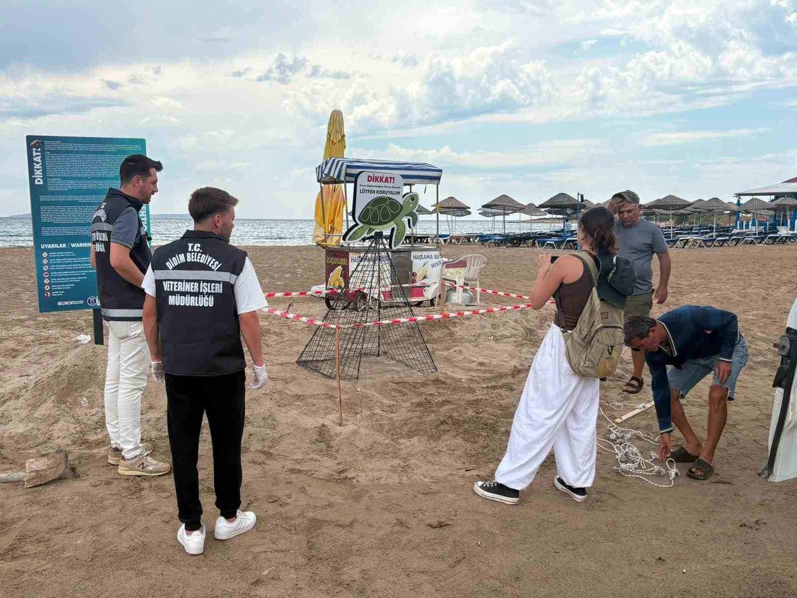 didim-belediyesi-ekiplerinin-zamaninda-mudahalesi-caretta-carettayi-kurtardi