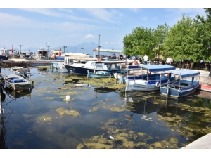 Köyceğiz Gölü Ve Dalaman Kanalları Kirlilikten Sos Veriyor