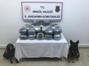 Narkotik Köpekleri Çalılar Arasına Gizlenmiş 60 Kilo Toz Esrarı Buldu