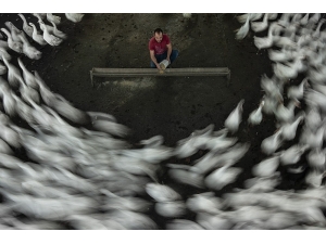 Nebiyan Doğa Festivali Fotoğraf Yarışması Sonuçlandı