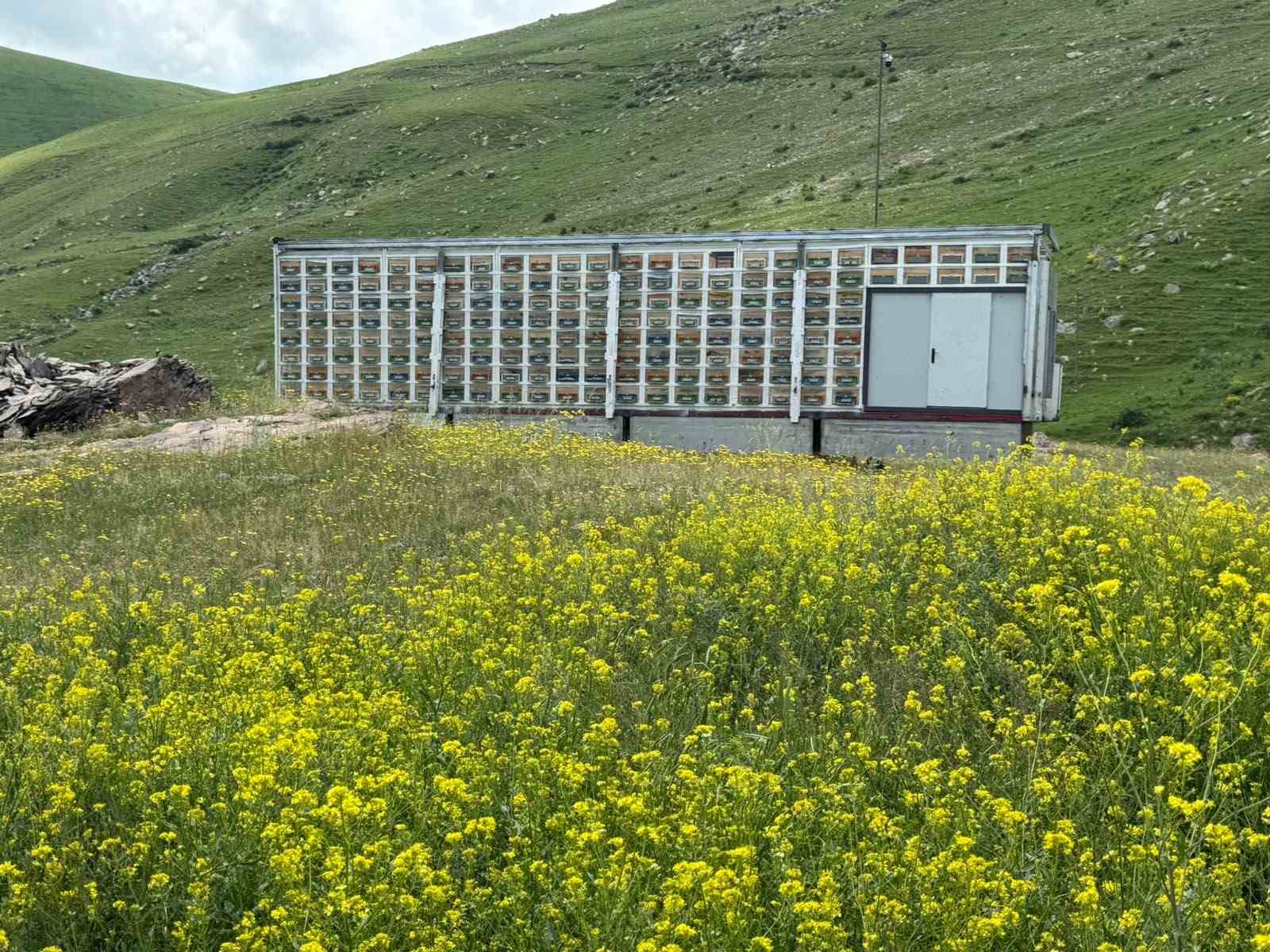 kars-ta-aricilikta-devrim-turkiye-nin-en-buyuk-mobil-ari-uretim-ussu-hizmete-girdi