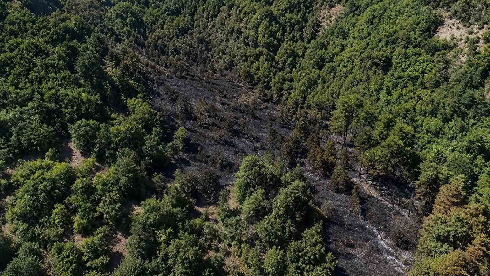sinop-taki-orman-yangini-kontrol-altina-alindi