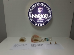 Yalova’da Şok Uyuşturucu Operasyonları: 192 Gözaltı