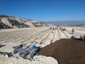 Çöp Kokan Tesis, Artık Lavanta Kokacak