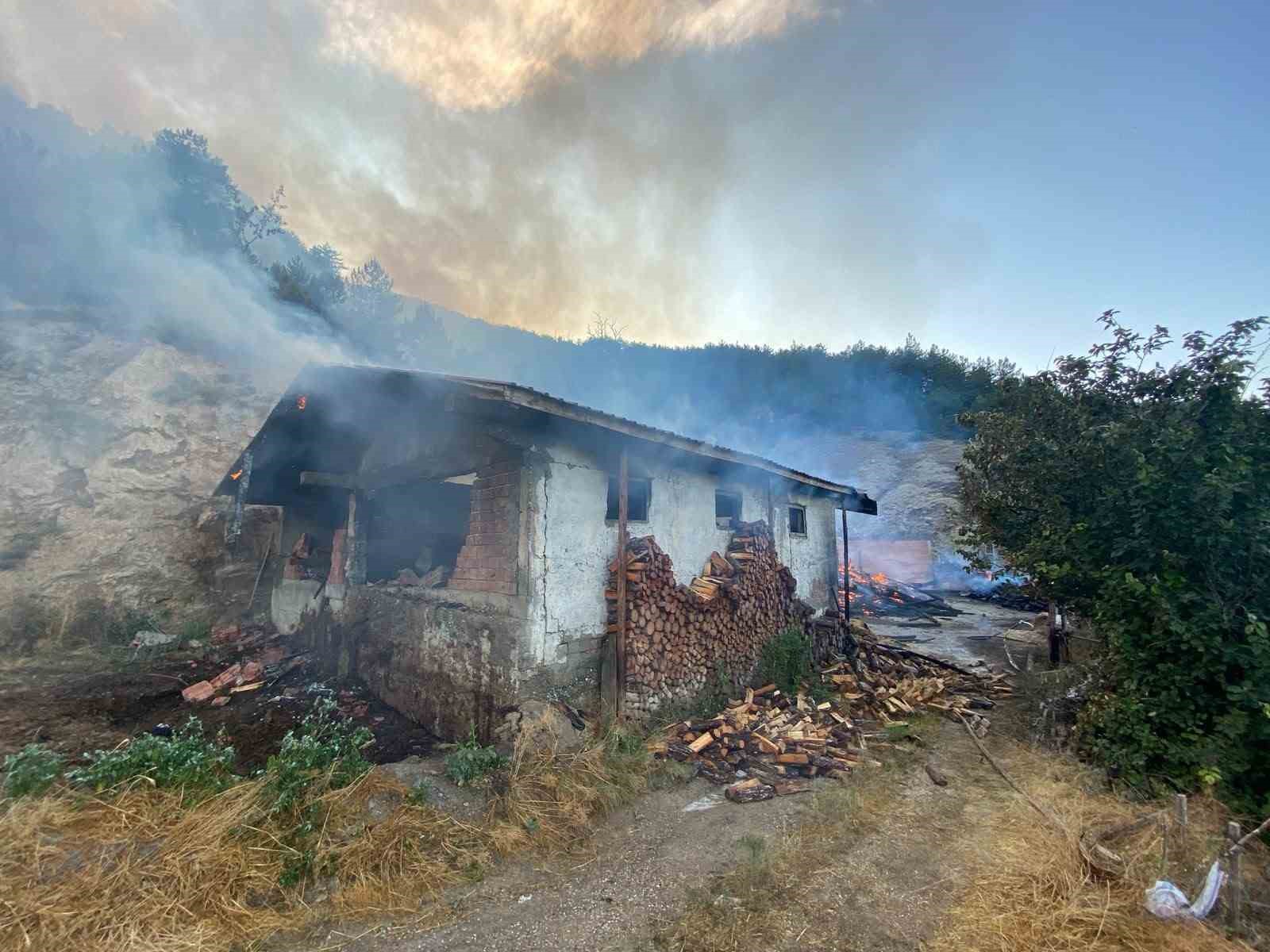 kastamonu-da-evde-cikan-yangin-ormana-sicradi