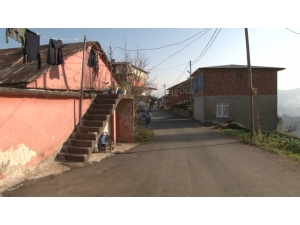 18 Evi Soydular, Pişkinlikleri Yok Artık Dedirtti