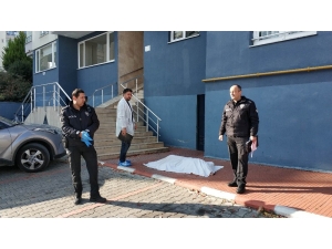 Kimya Profesörü Kadın Kendini 4. Kattan Atarak İntihar Etti