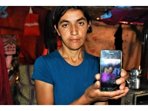 Evrim, 500 Gündür Kayıp