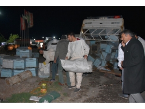 Arı Kovanı Yüklü Kamyonet Kaza Yaptı, Arıcılar Yardım İçin Seferber Oldu