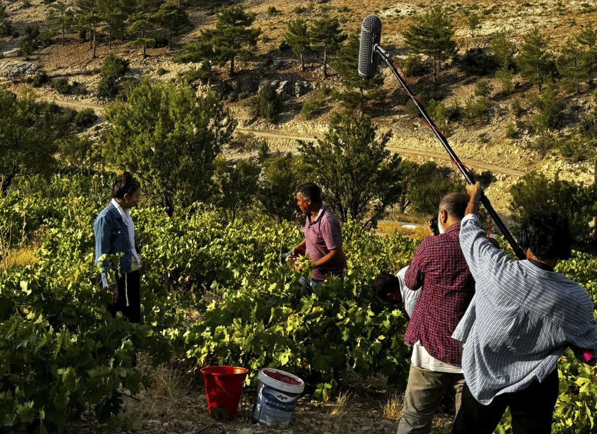 mersin-sinema-sektorunde-adini-duyuruyor