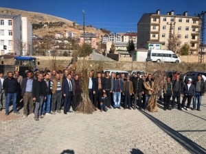 Hozat’ta 3 Bin 500 Ceviz Ve Dut Fidanı Dağıtıldı