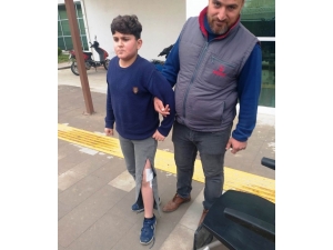 Sokak Köpeğinin Isırdığı Çocuk Hastanelik Oldu