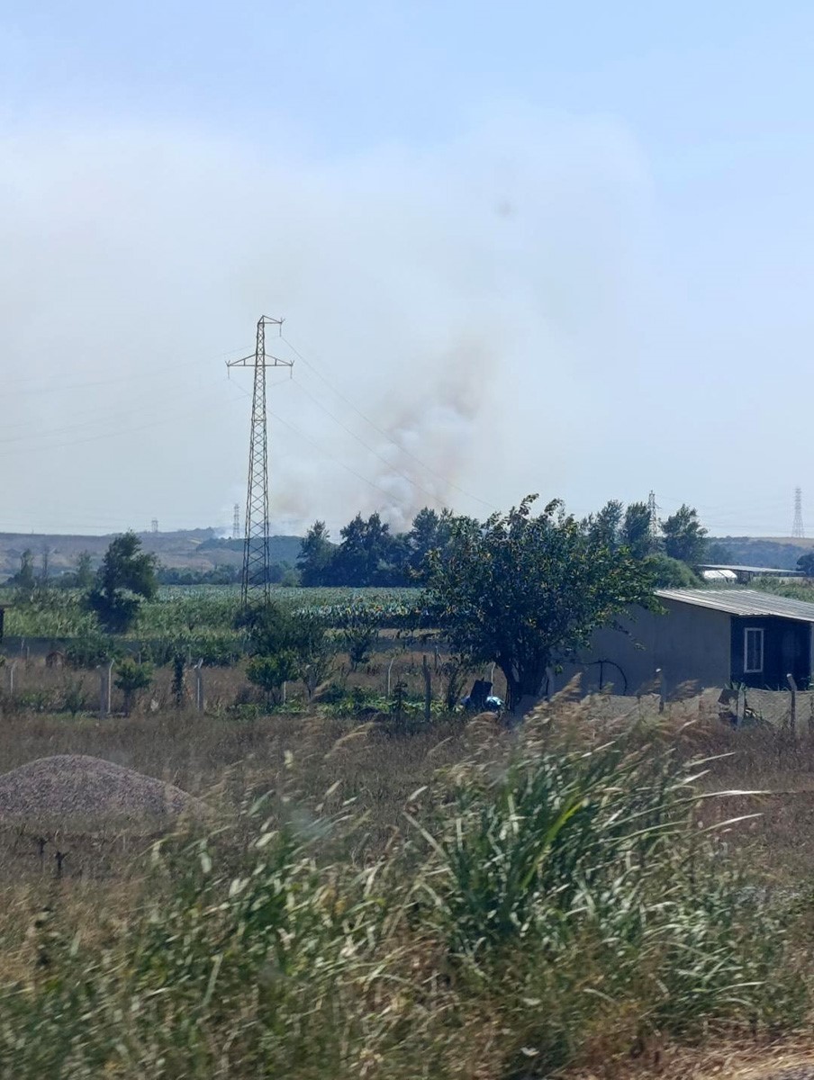 karacabey-de-makilik-alanda-orman-yangini