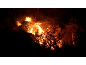 Samandağ’da Tarihi Mağaralara Yakın Yerde Çıkan Yangın Kontrol Altına Alındı