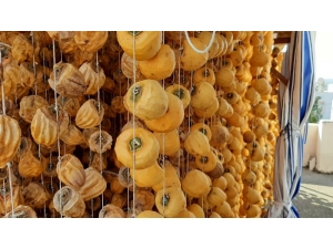 Kilosu 30 Lira Olan Hurma Kurusu, İlçenin Halkının Geçim Kaynağı Oldu