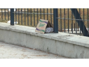 Üniversite Kampüsünde Şüpheli Paket Paniği