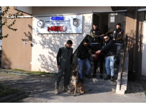 Şırnak’taki Narkotik Operasyonunda 5 Tutuklama