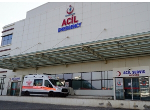 Tartıştığı Kocasının Cinsel Organını Kesti