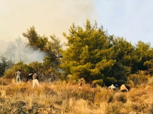 Hatay’da Orman Yangını