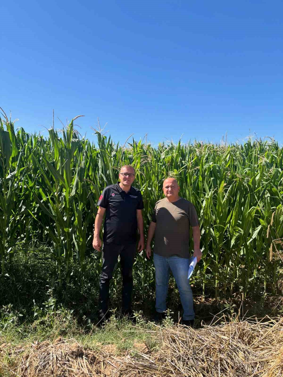bor-da-yem-bitkileri-uretim-alanlari-denetlendi