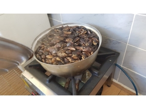 Ruhsatsız Midye İmalathanesi Kapatıldı