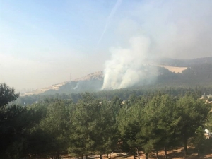 Çocukların Ateşle Oyunu Ormanı Yakıyordu