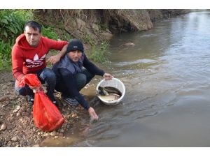 Gediz’de Su Seviyesi Düştü Elle Balık Avladılar