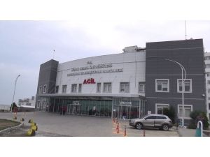 Sivrisinek Isırığı Ölümüne Neden Oldu